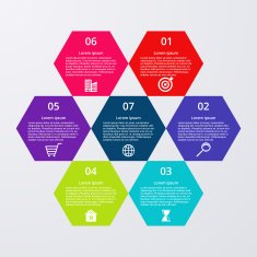 Vector illustration infographics seven hexagons N5