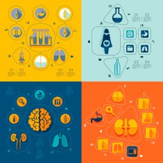 medicine flat infographic N38