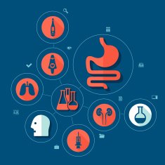 medicine flat infographic N41