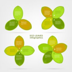 Leaves infographic N10