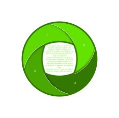 Vector circle infographic shows abstract steps