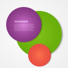 Vector infographics circles template design N4