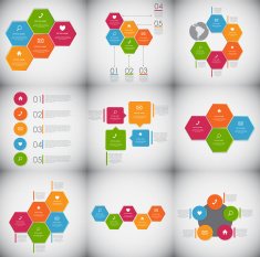 Collection of Infographic Templates for Business Vector Illustra N118