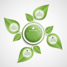 Abstract infographic Nature concept Vector illustration N2