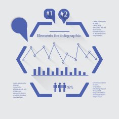 Vector Infographic report template made from lines and icons N6