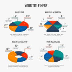Vector pie charts in modern 3d flat style N2