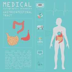 Medical and healthcare infographic N37