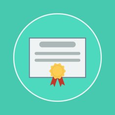 Certificate icon N29