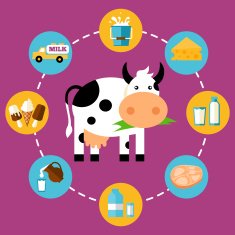 infographics milk products