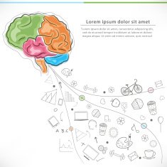 Human brain for Health and Medical concept N2