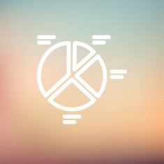 Pie chart thin line icon N3