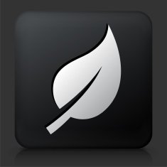 Black Square Button with Leaf Icon N17