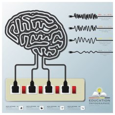 Mind Modulations Brainwave Education Infographic N2