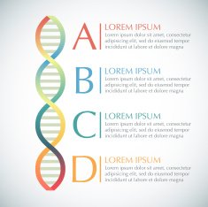 Infographics design template with DNA N2