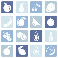 Vector Set of Fruit Icons N15