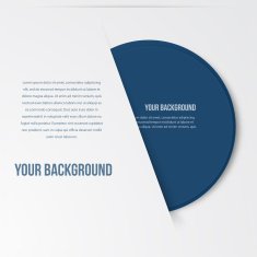 Vector infographics circles template design N5