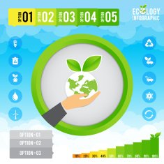 Ecology infographic and presentation