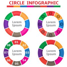 Colorful round infographic elements