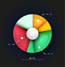 Vector pie chart infographic N2