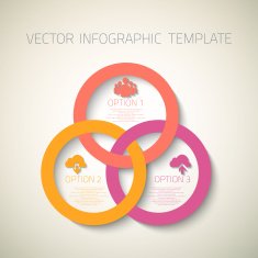 Web Infographic Template Layout With Vector Icons could be used N8