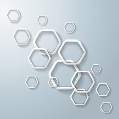 White Hexagon Rings Light Infographic