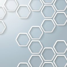 White Hexagons Honeycomb Infographic