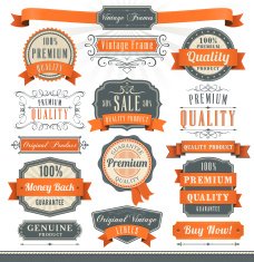 Badge and Ribbon Set N9