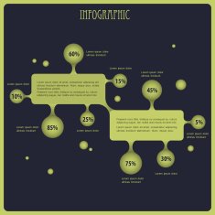 Vector design for Infographic N2
