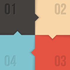 vector infographics with 4 steps