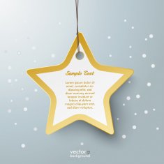 Golden Star Price Sticker Snow