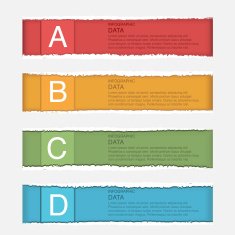 Vector of Business info graphic template Layout