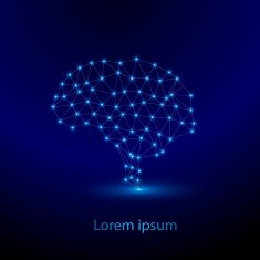 brain polygon vector N3