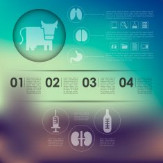 veterinary infographic with unfocused background N84