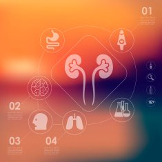 medical infographic with unfocused background N86