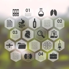 veterinary infographic with unfocused background N92