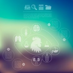 veterinary infographic with unfocused background N93
