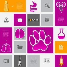 Veterinary sticker infographic N112