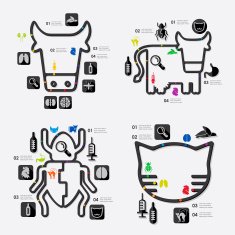 veterinary infographic N54