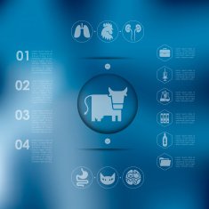 veterinary infographic with unfocused background N98