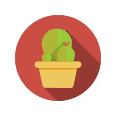 Cactus Flat Design Concept Icon Vector Illustration With Long Sh N2