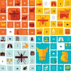 veterinary flat infographic N55