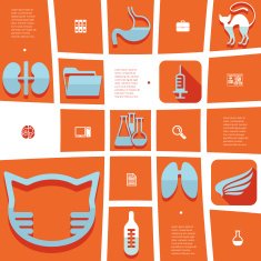 veterinary flat infographic N56