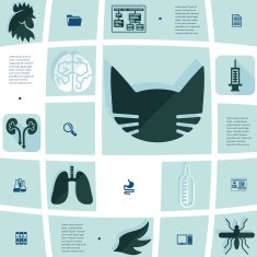veterinary flat infographic N57