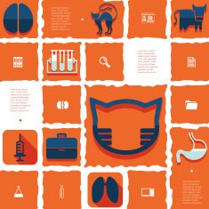 veterinary flat infographic N58