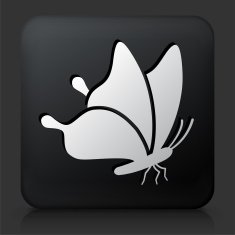 Black Square Button with Butterfly Icon N4