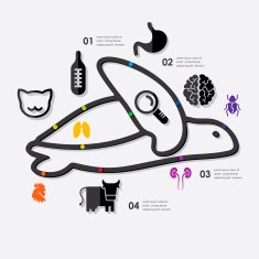 veterinary infographic N59