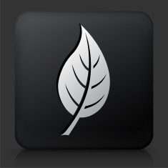 Black Square Button with Leaf Icon N18