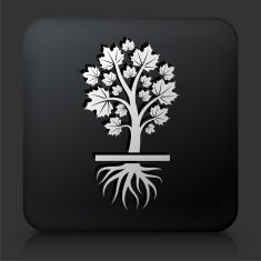 Black Square Button with Growing Tree N3