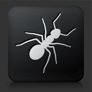 Black Square Button with Ants Icon