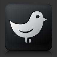 Black Square Button with Bird N2